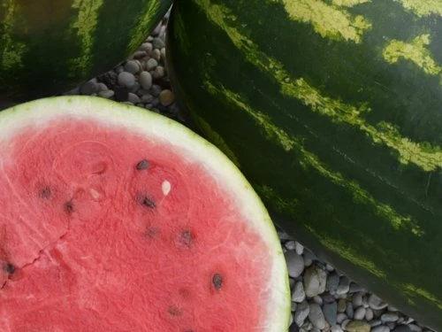 Lubenica - PDS - Profesionalna distribucija sjemena